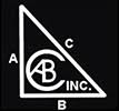 accbizconsultants.com logo