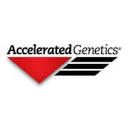 accelgen.com logo