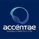 accentae.com logo