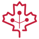 accessibilitypartners.ca logo