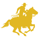 accessvp.com logo