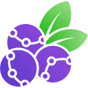 accountberry.com logo