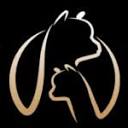 accoyo-europe.com logo