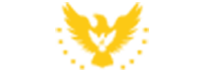 accuratesinternational.com logo