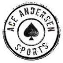aceandersen.com logo