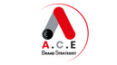 acebrandstrategist.com logo