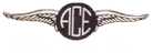 aceelectricmotorbikes.com logo