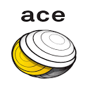 aceglobal.nl logo