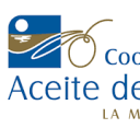 aceitehuelva.com logo