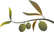 aceitunasolivares.com logo