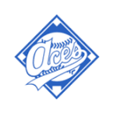 acesincbaseball.com logo