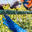 acgcfence.com logo