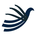 achievehealthtx.com logo