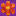 achildsdream.com logo