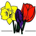 acmsmit.nl logo