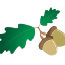 acorns.ie logo