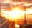acrossthemiles.net logo