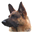 activedogs.com logo