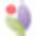 activitypathways.com logo