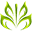 acupunctureallied.com logo
