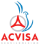 acvisagroup.com logo
