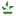 adamsfarms.com logo