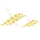 adnantreprenor.ro logo