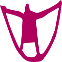 advys.be logo