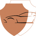 aegispaintshield.com logo