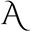 aemster.com logo