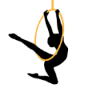 aerialcirqueoverdenver.com logo