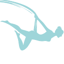 aerialyogalife.com logo