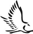 aeriegroup.biz logo