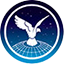 aerosociety.com logo