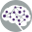 aesnet.org logo