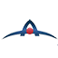 afdip.com logo