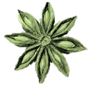 aferp.fr logo