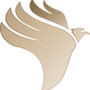 africacommerceeagle.com logo