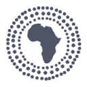 africanperfection.co.za logo