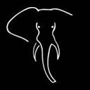 africanphotographysafaris.com logo