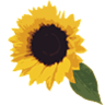 aftab.cc logo