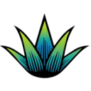agavesi.com logo