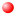 agenziapanorama.com logo