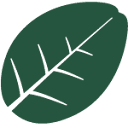 agevital.co logo