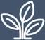 agile2.academy logo