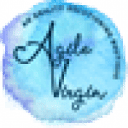agilevirgin.in logo