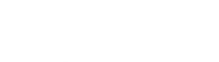 agora-advisors.com logo