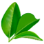 agrohumix.com.br logo