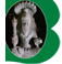 agronetsbangalore.com logo