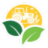 agrosalso.ro logo